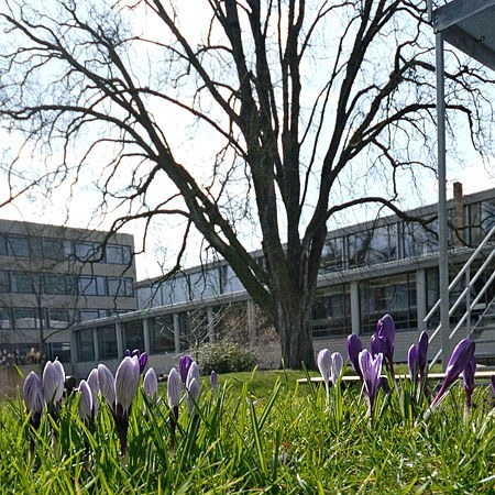 Hinter dem AGS Hauptgebäude